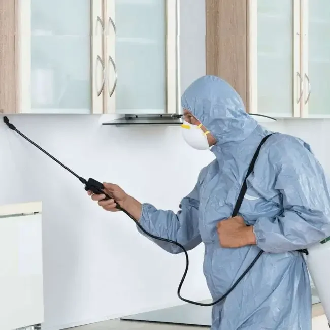 clipboard-image-1761716538