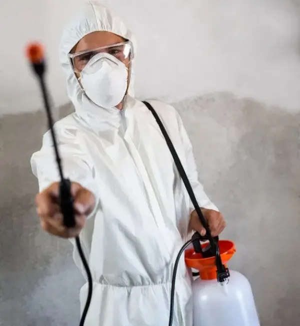 clipboard-image-1761716618